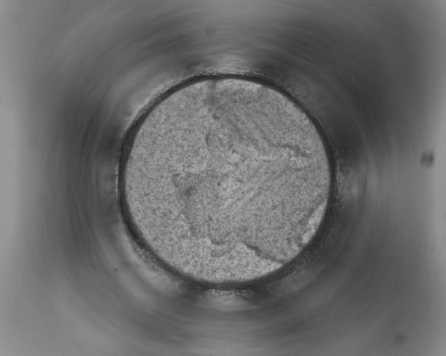 X0000114690534200911181255