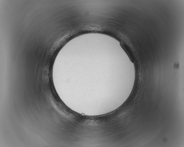 X0000114690538200911181255