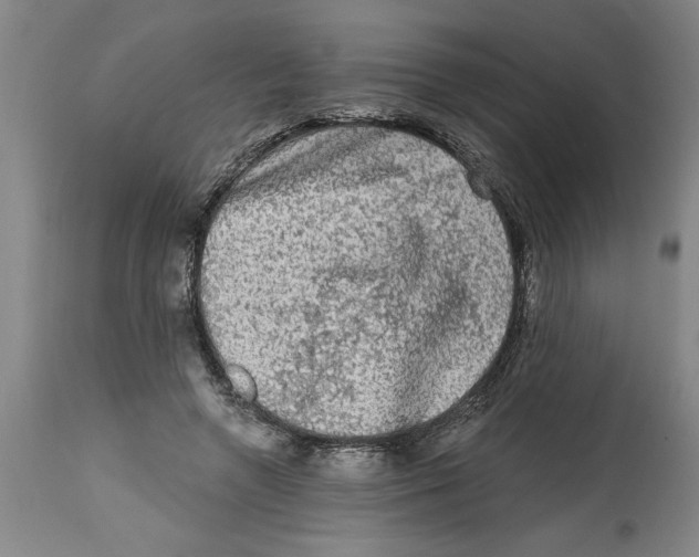 X0000114690546200911181255