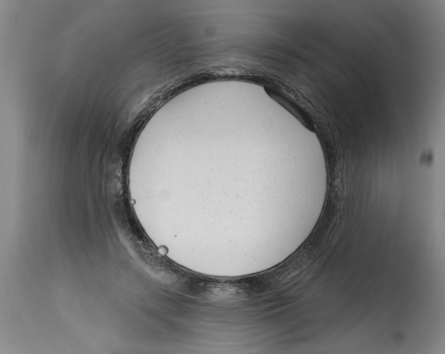 X0000114690547200911181255