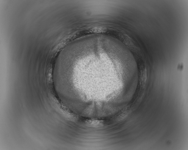 X0000114690553200911181256