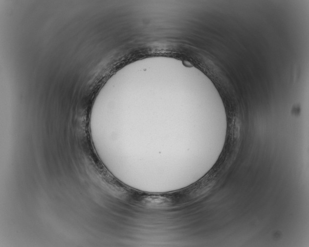 X0000114690557200911181256