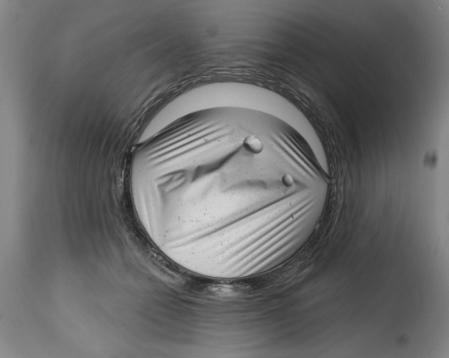 X0000114690558200911181256