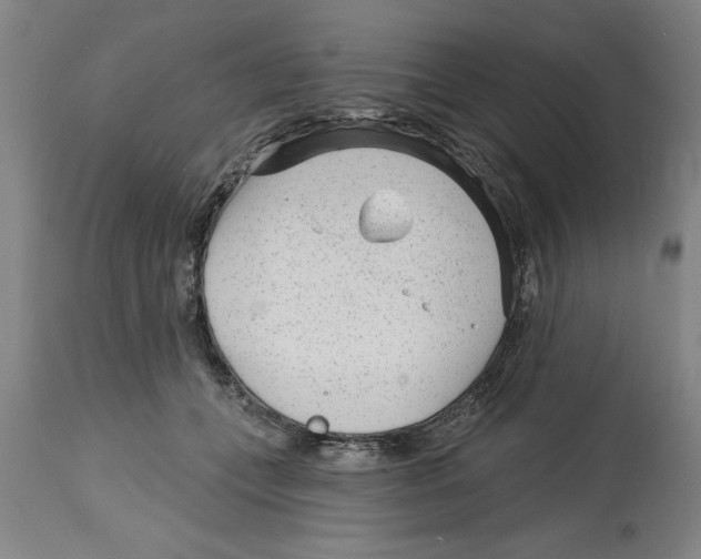 X0000114690559200911181256