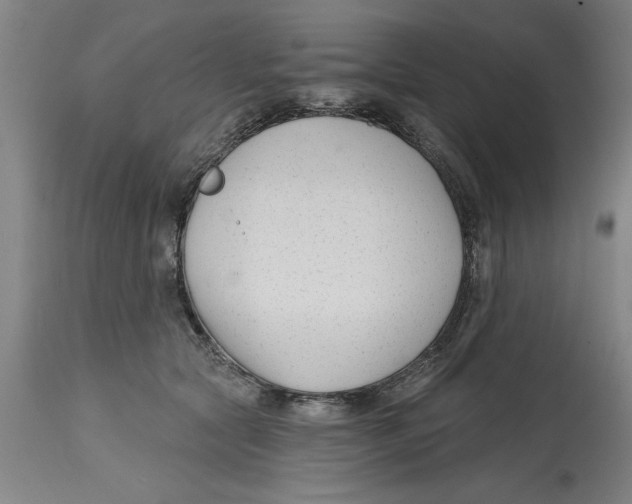 X0000114690561200911181256