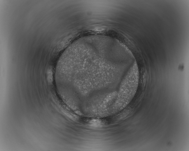 X0000114690562200911181256