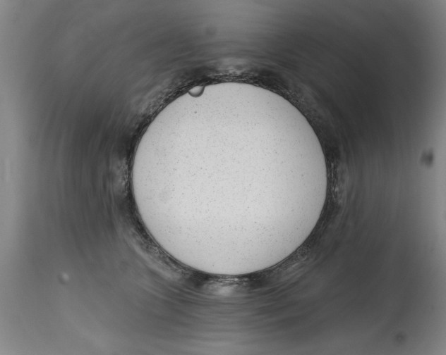 X0000114690563200911181256