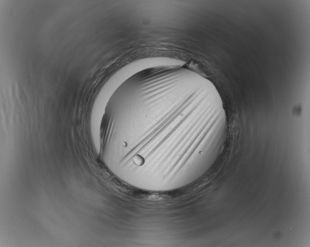 X0000114690566200911181256