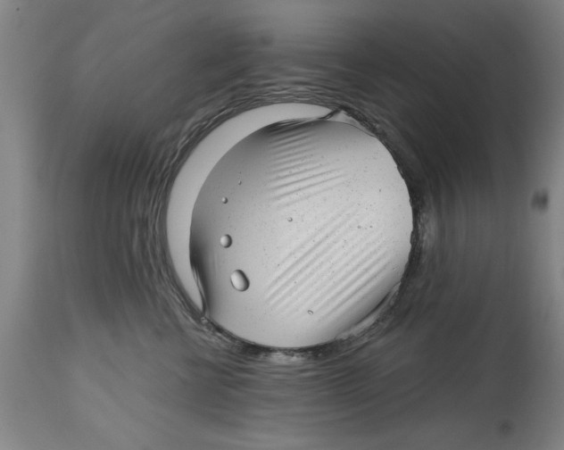 X0000114690570200911181256