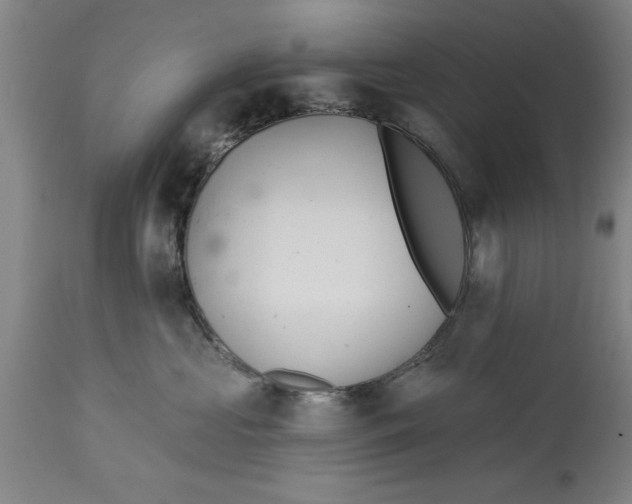 X0000114690573200911181256