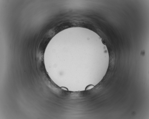 X0000114690574200911181256