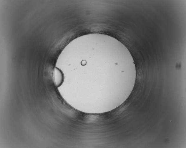 X0000114690575200911181256