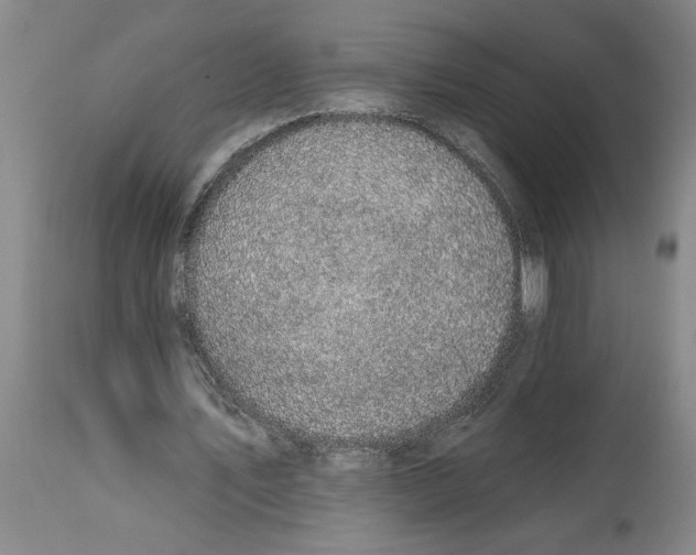 X0000114690579200911181255