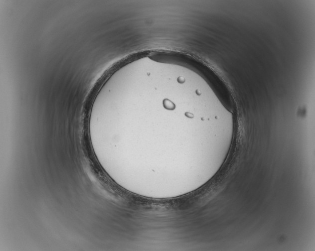 X0000114690580200911181255