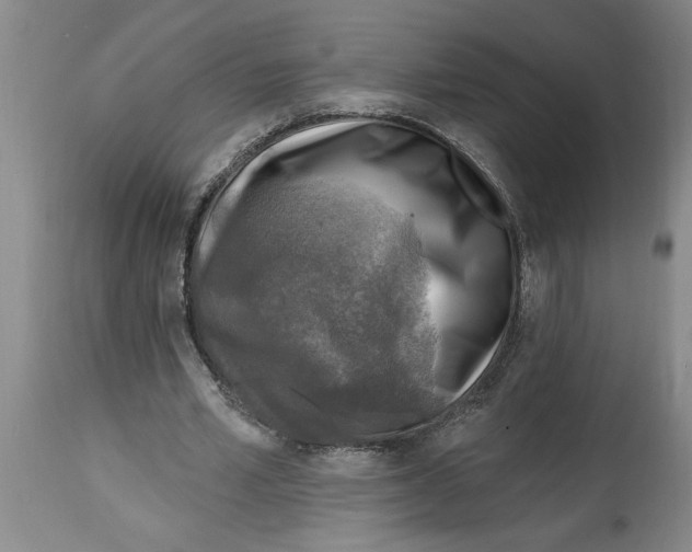 X0000114690581200911181255