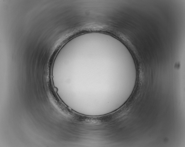 X0000114690582200911181255