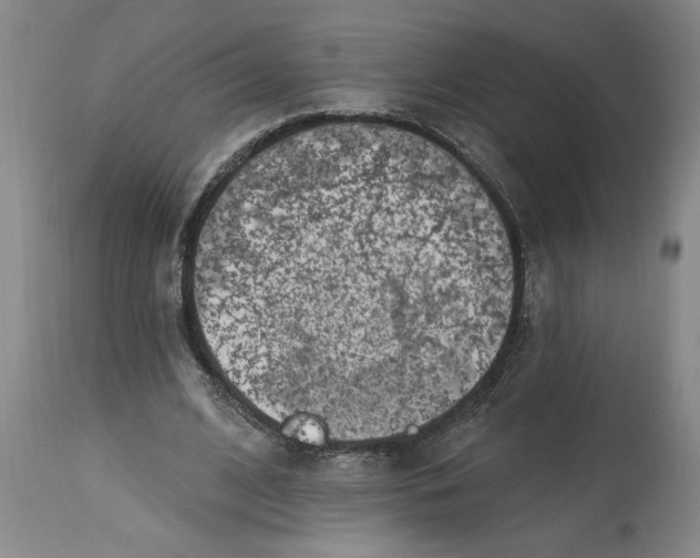 X0000114690584200911181255