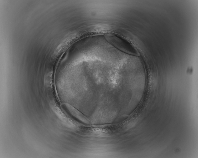 X0000114690585200911181255