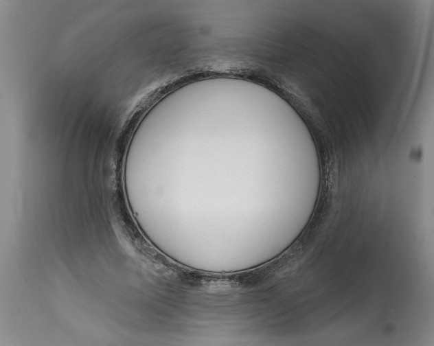 X0000114690587200911181255