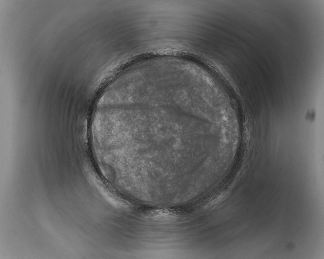 X0000114690589200911181255