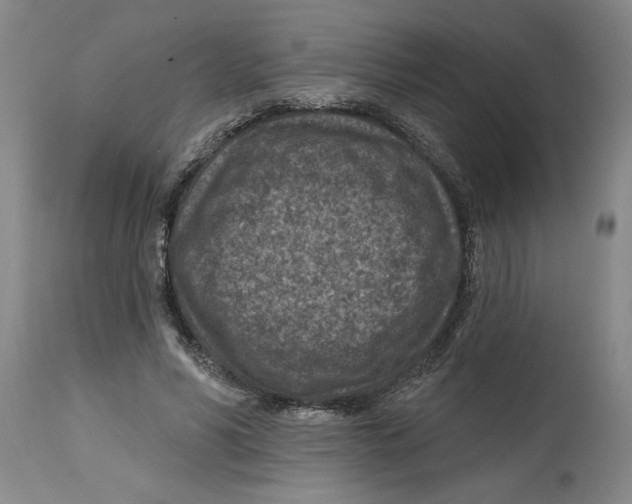 X0000114690590200911181255