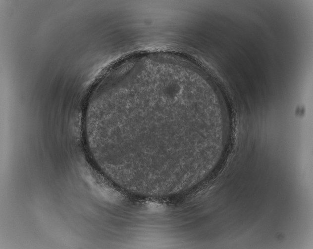 X0000114690592200911181255