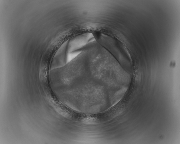 X0000114690593200911181255