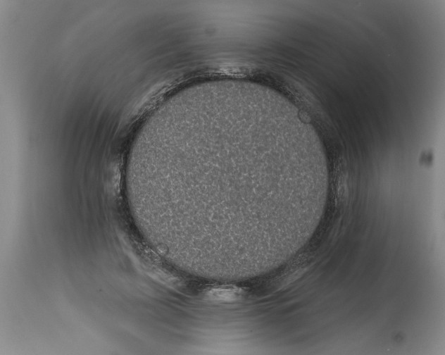 X0000114690595200911181255