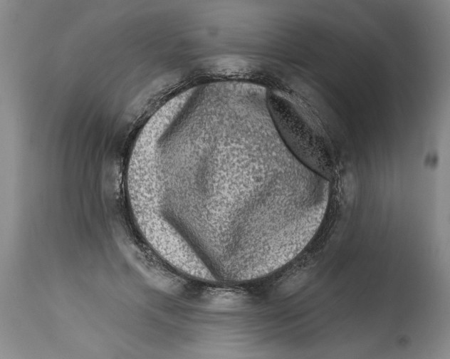 X0000114690597200911181255