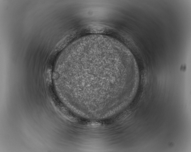 X0000114690598200911181255