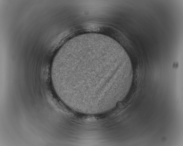 X0000114690600200911181255