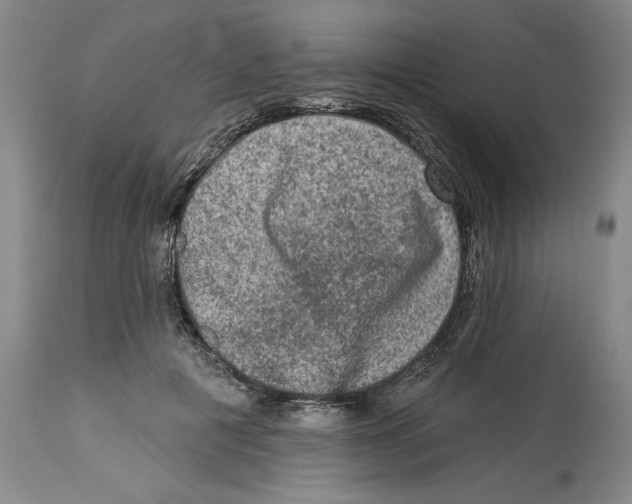 X0000114690601200911181255