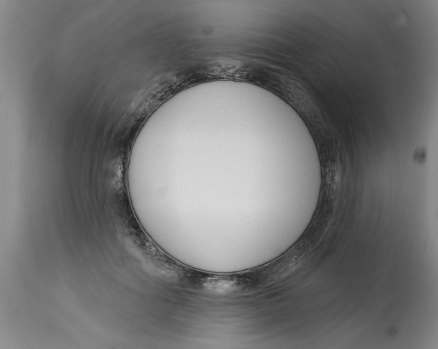 X0000114690602200911181255