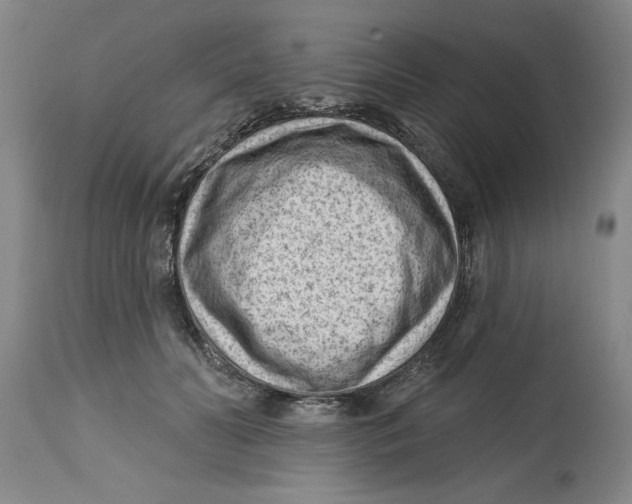 X0000114690606200911181255