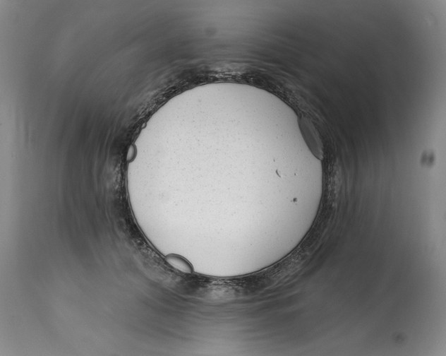 X0000114690608200911181255