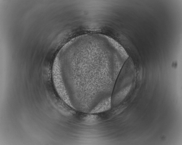 X0000114690609200911181255