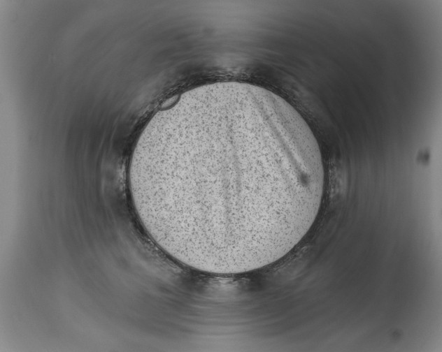 X0000114690613200911181255