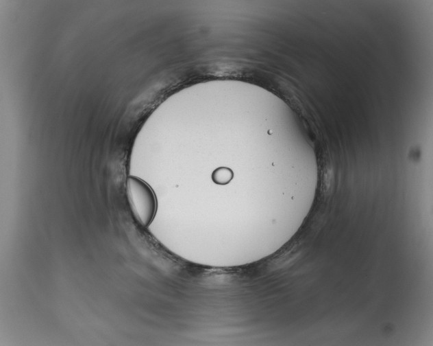 X0000114690620200911181255