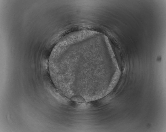 X0000114690621200911181255