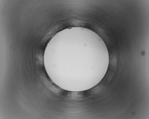 X0000114690622200911181255