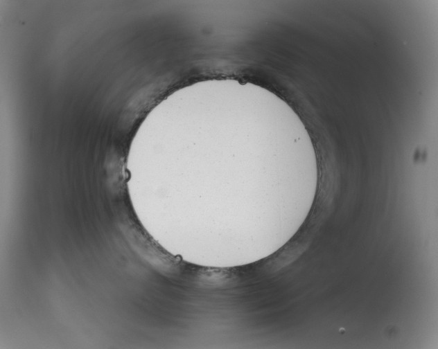 X0000114690624200911181255