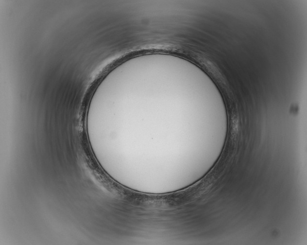 X0000114690628200911181254