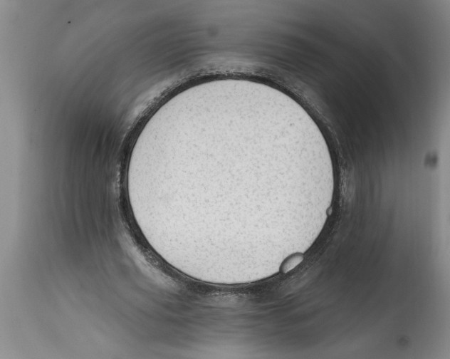 X0000114690629200911181254