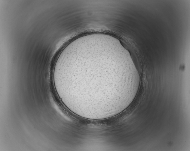 X0000114690630200911181254