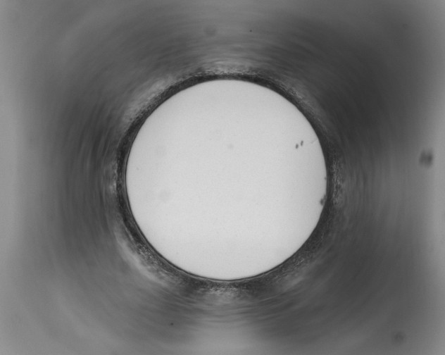 X0000114690631200911181254