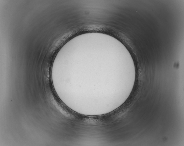 X0000114690633200911181254