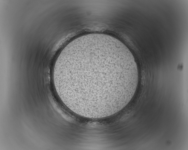 X0000114690634200911181254