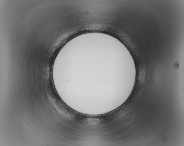 X0000114690636200911181254