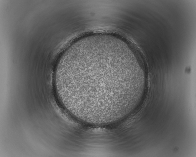 X0000114690637200911181254