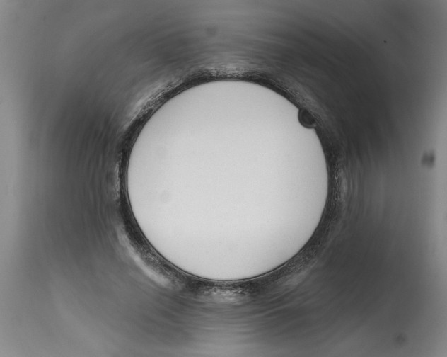 X0000114690638200911181254